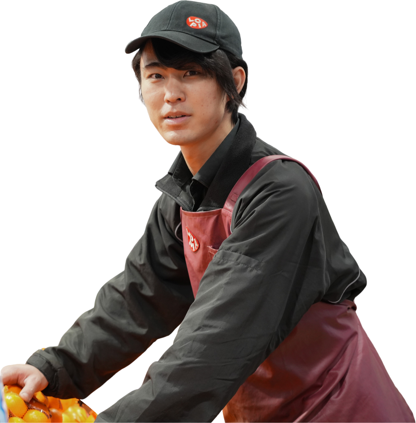 青果事業部