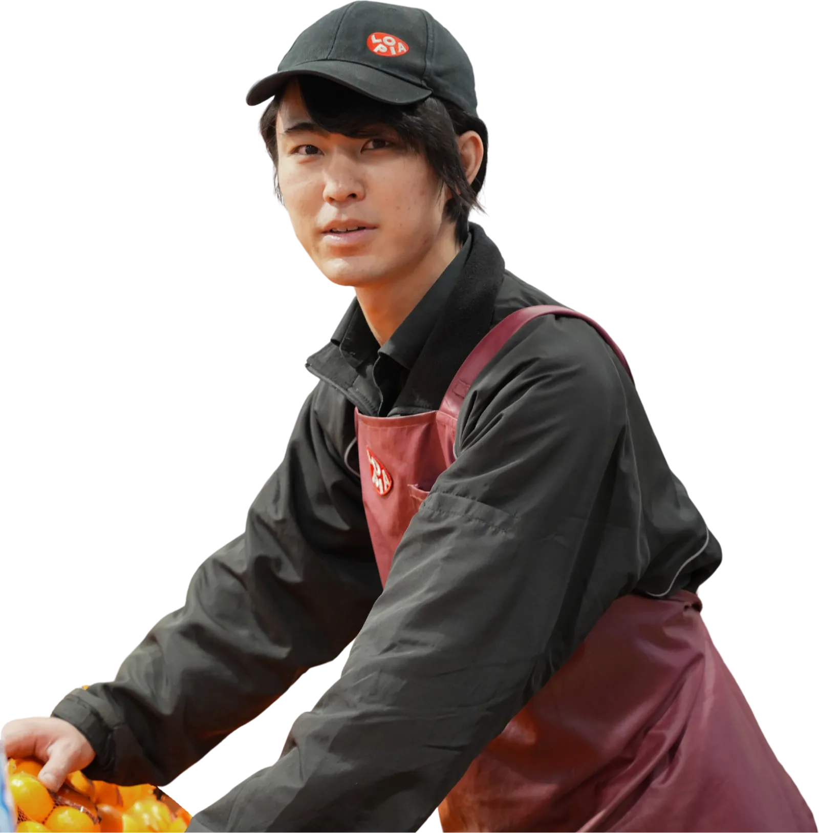 青果事業部
